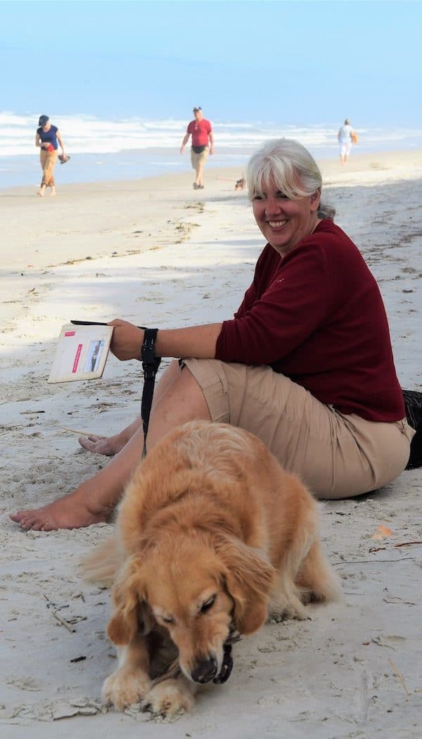 Golden retrievers Honey and Pam wait on the beach at Fort Matanzas.