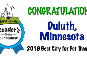 2018 Best City for Pet Travelers Tournament | GoPetFriendly.com