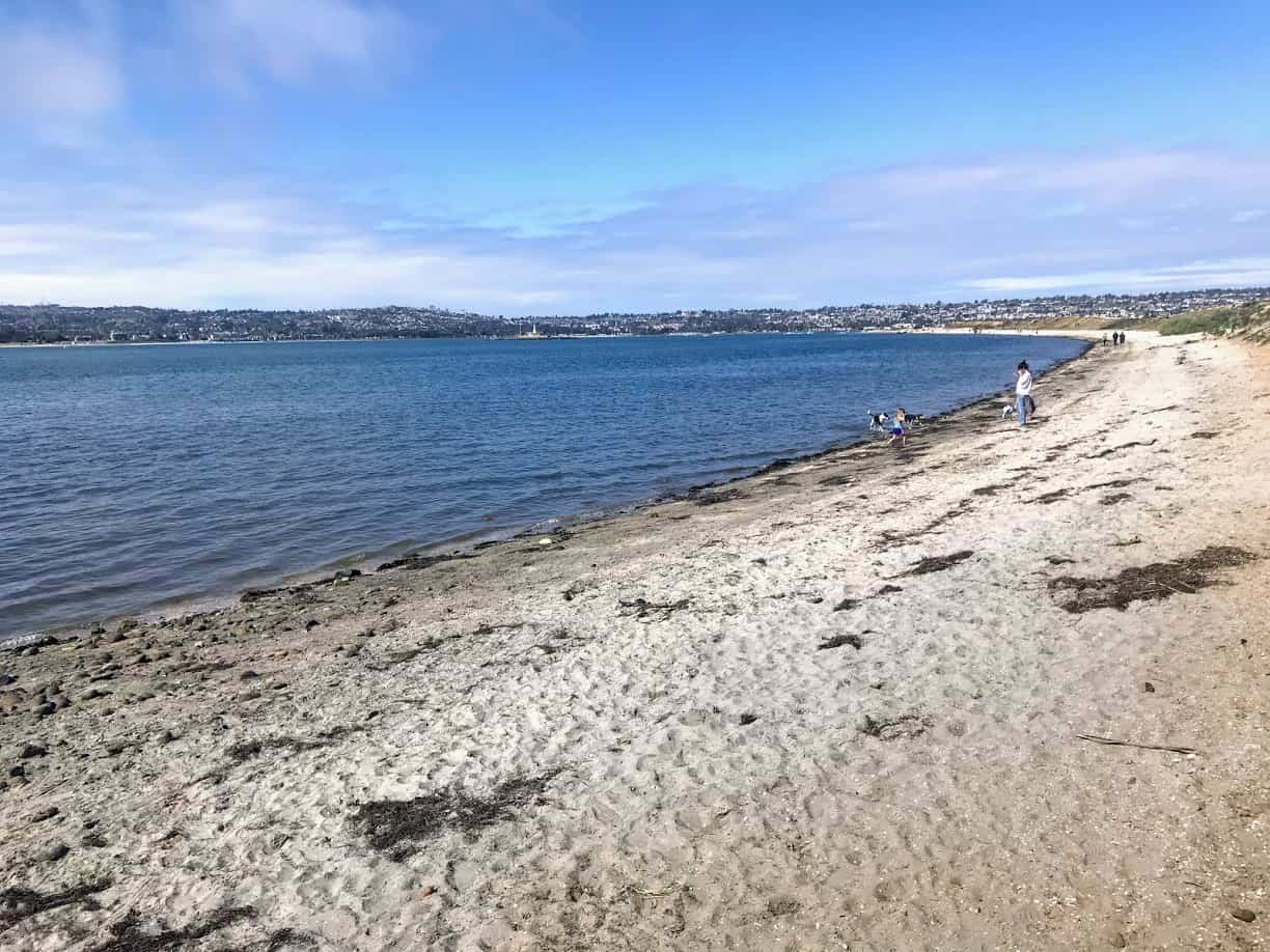 what beaches allow dogs in san diego