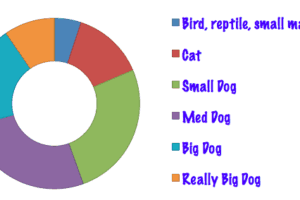 2018 Pet Travel Survey Results | GoPetFriendly.com