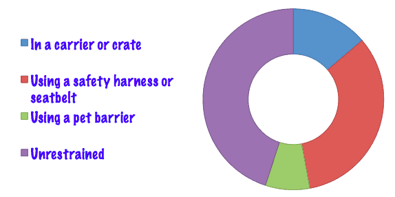 2018 Pet Travel Survey Results | GoPetFriendly.com