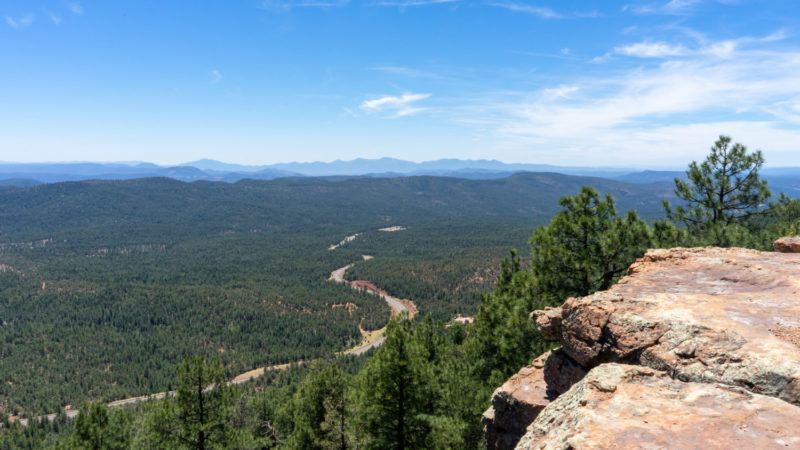 Aspen Campground Review - Apache-Sitgreaves National Forest, Arizona | GoPetFriendly.com