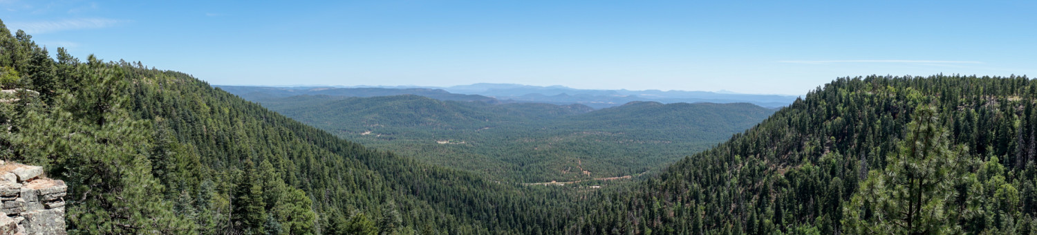 Aspen Campground Review - Apache-Sitgreaves National Forest, Arizona | GoPetFriendly.com