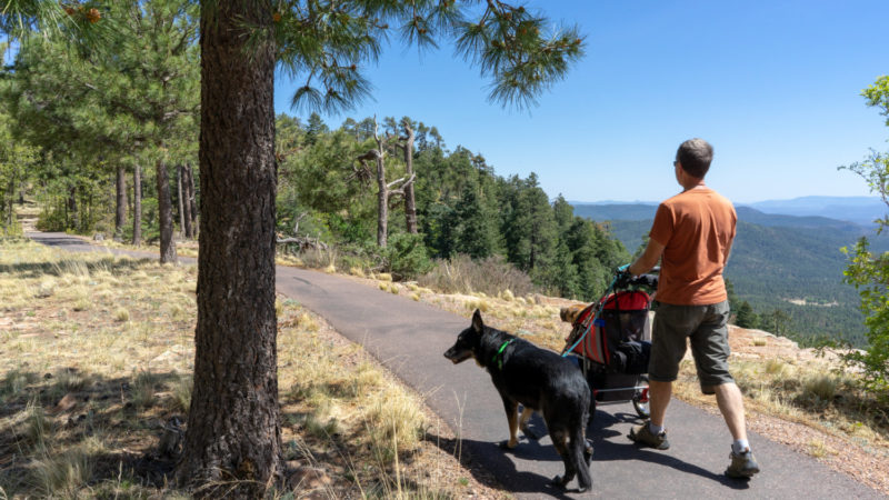 Aspen Campground Review - Apache-Sitgreaves National Forest, Arizona | GoPetFriendly.com