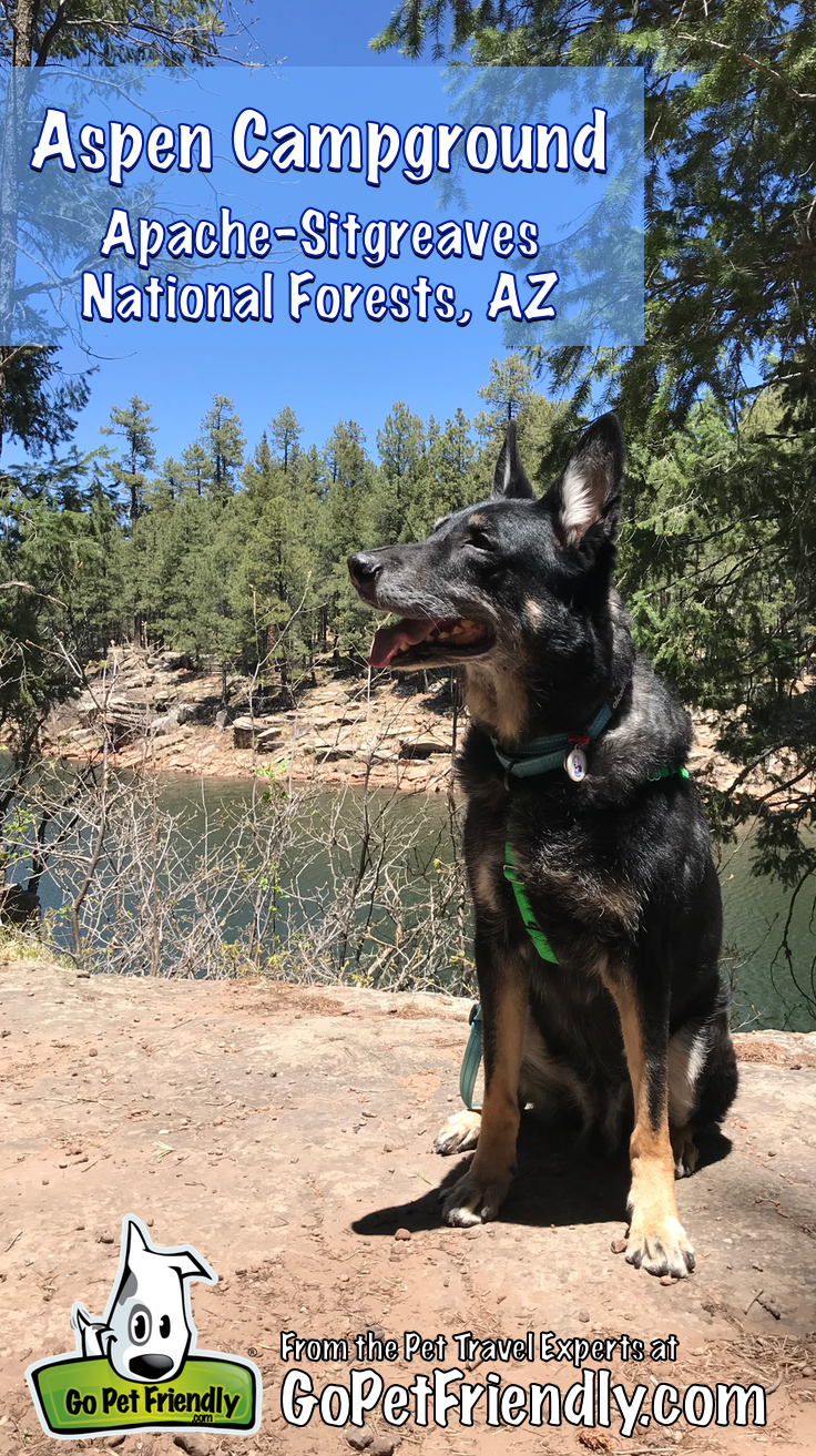 Aspen Campground Review - Apache-Sitgreaves National Forest, Arizona | GoPetFriendly.com