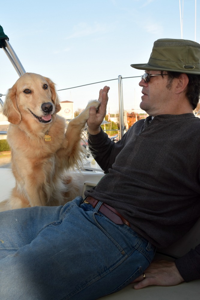 Honey the golden retriever gives a high five.