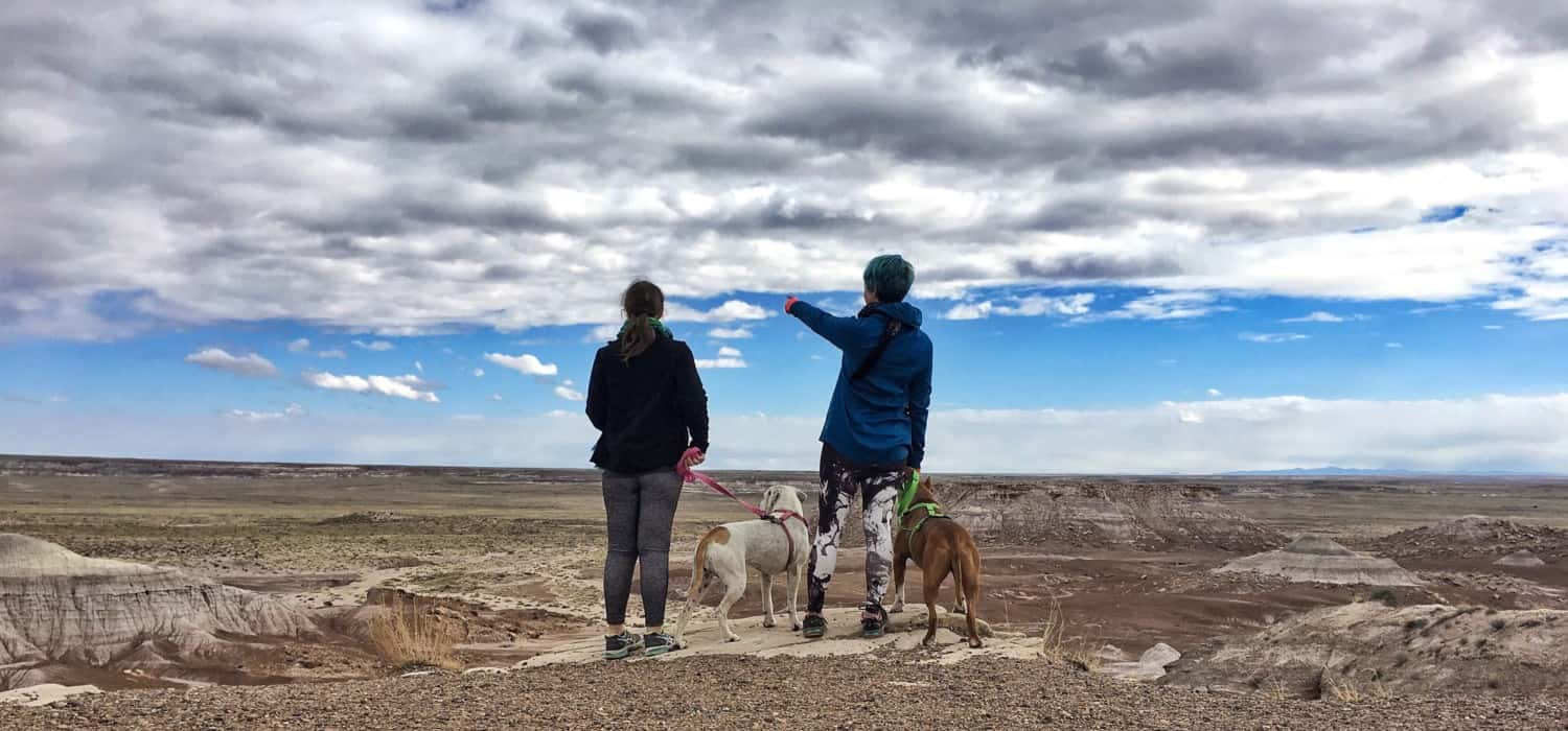 Two women and two dogs overlooking dog-friendly Petrified Forest National in Arizona