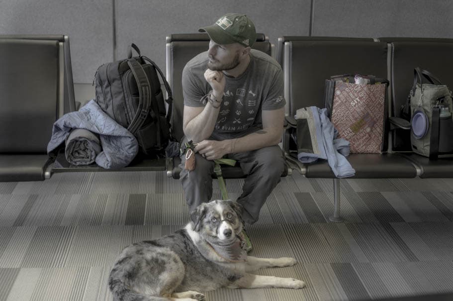 airlines recommend arriving early then your dog can get use to the airport