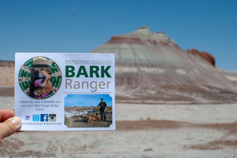 Pet Friendly National Park and BARK Ranger Program |  GoPetFriendly.com