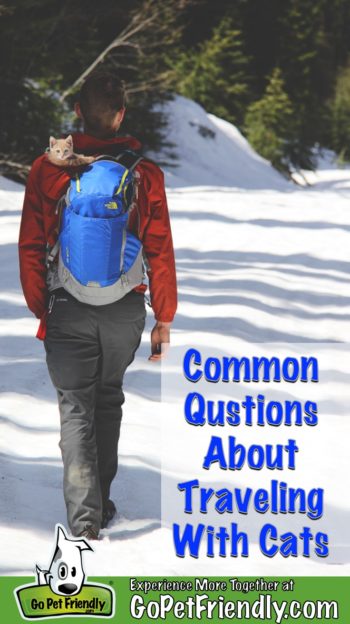 Man walking away on a snow-covered trail with an orange kitten in the hood of his jacket