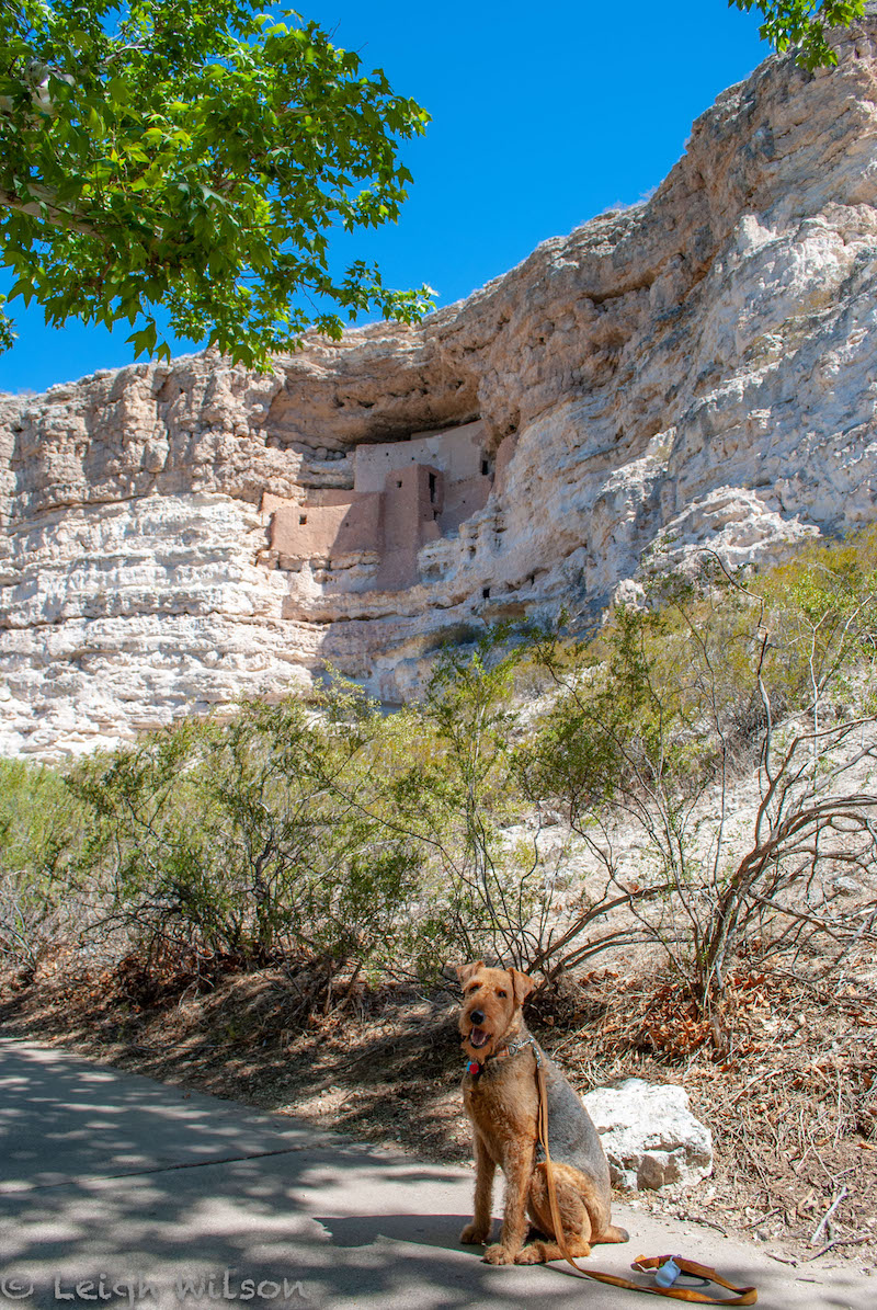 Montezuma . Castle National Monument