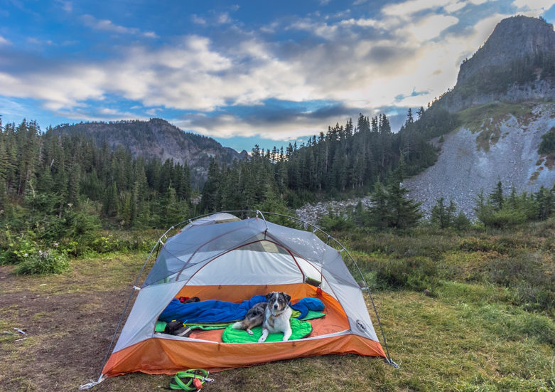 6 Affordable Vacations to Take with Your Pet