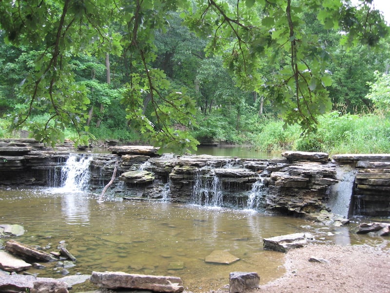 Waterfall at Waterfall Glen Forest Preserve