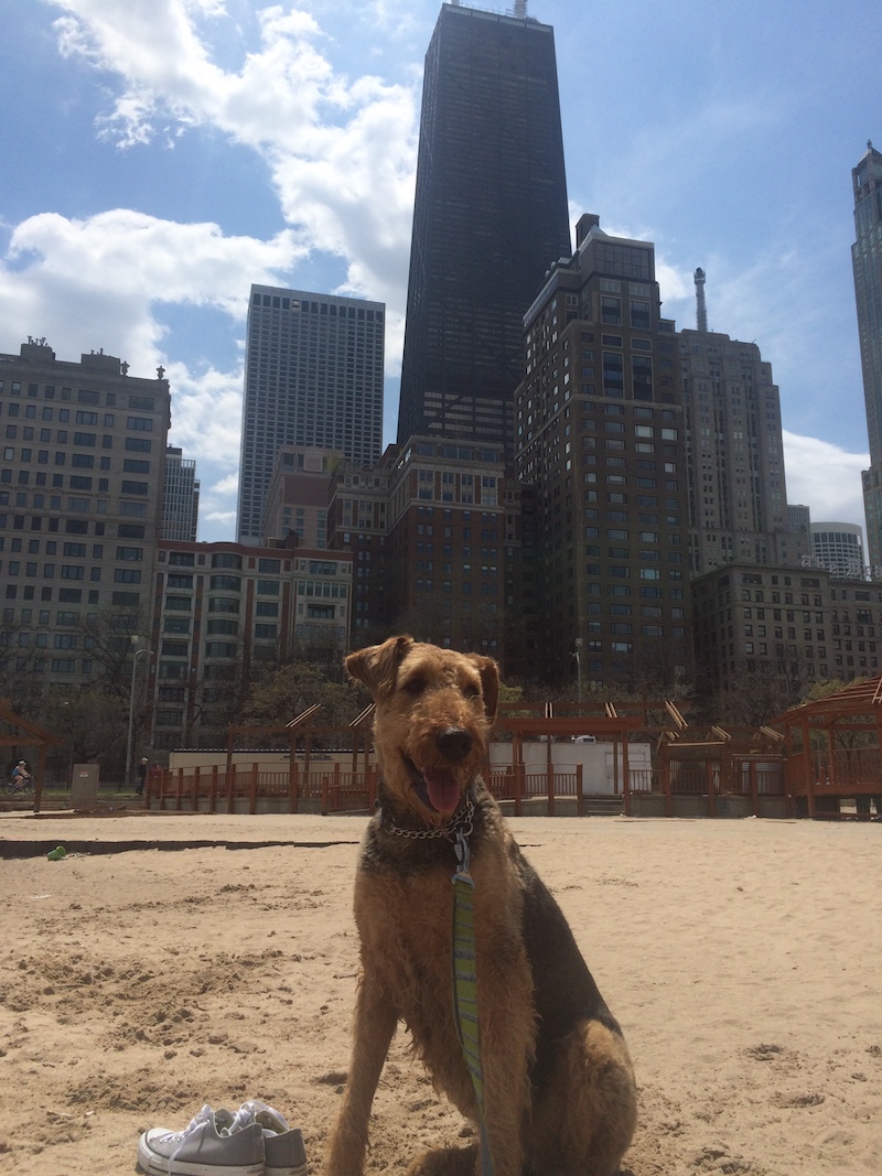 Chicago Beach 