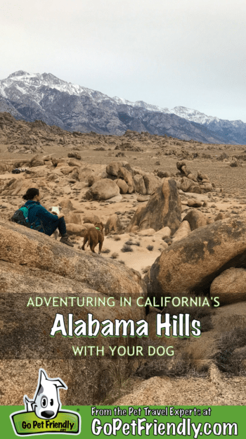 Adventuring in California's Alabama Hills with Your Dog | GoPetFriendly.com