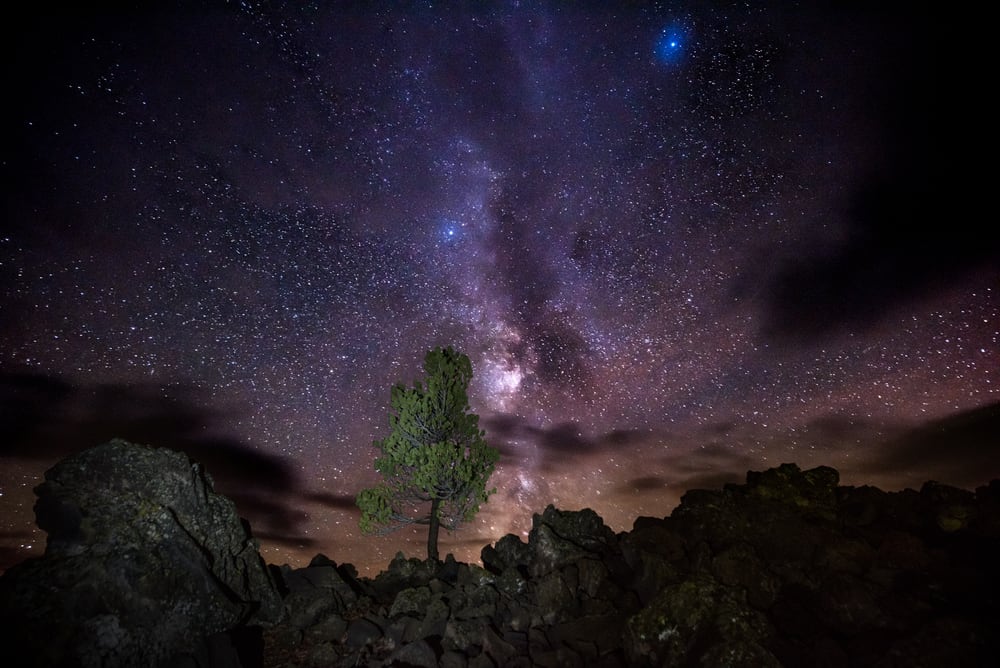 22 Best Dark Sky Parks for Pet Friendly Camping | GoPetFriendly.com