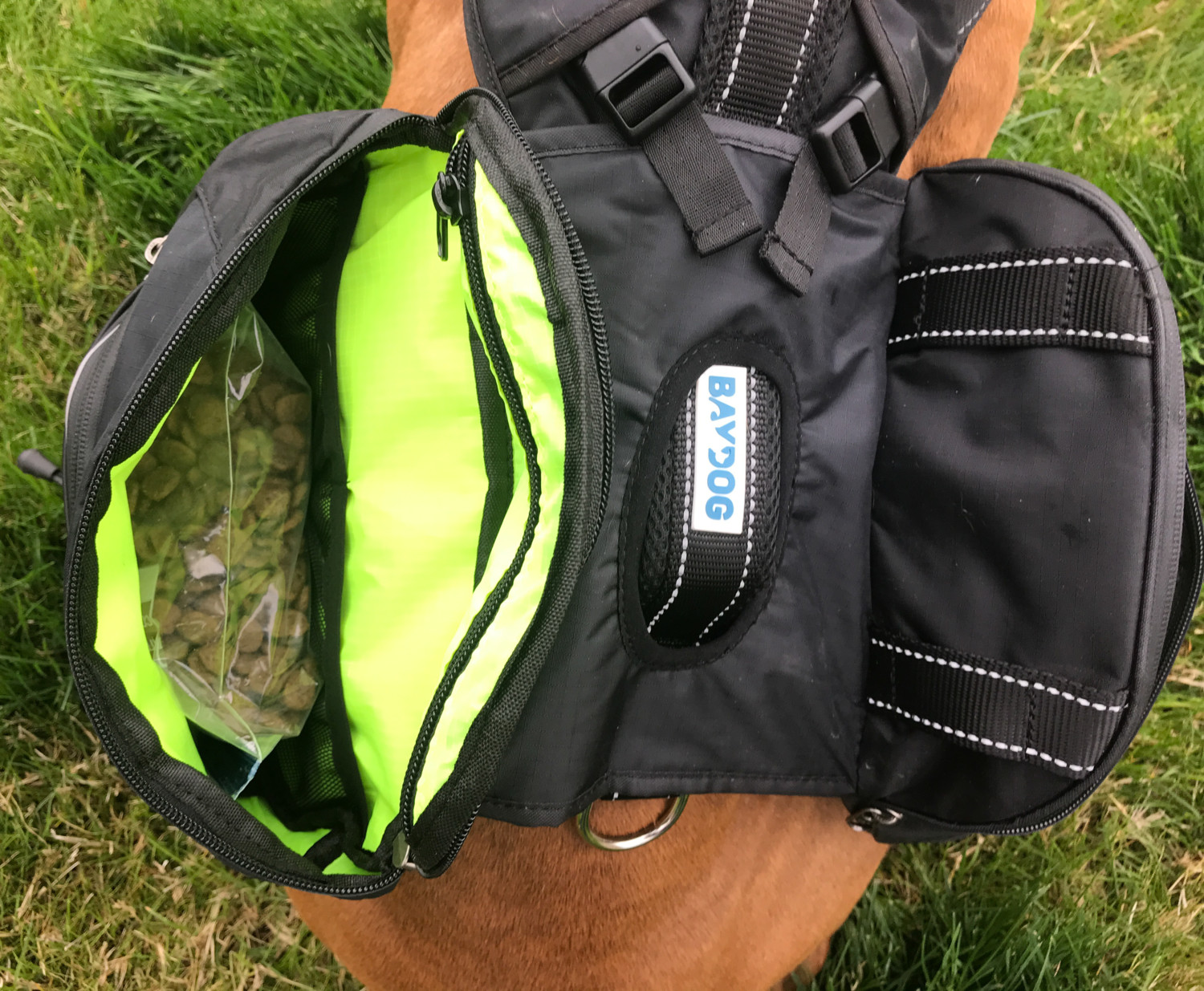 Inside pockets of the Bay Dog Saranac dog backpack