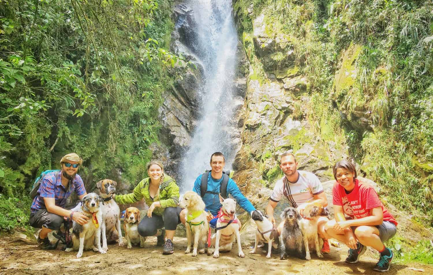 Planning Doggy Meetups On The Road | GoPetFriendly.com