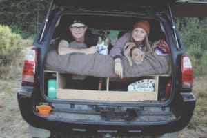 Tips and Trick for Road Tripping With Cats | GoPetFriendly.com