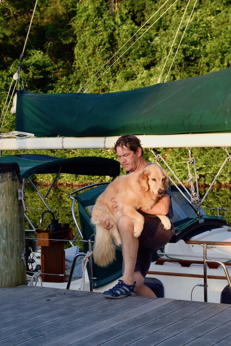 Honey the boat dog being lifted off the sailboat.