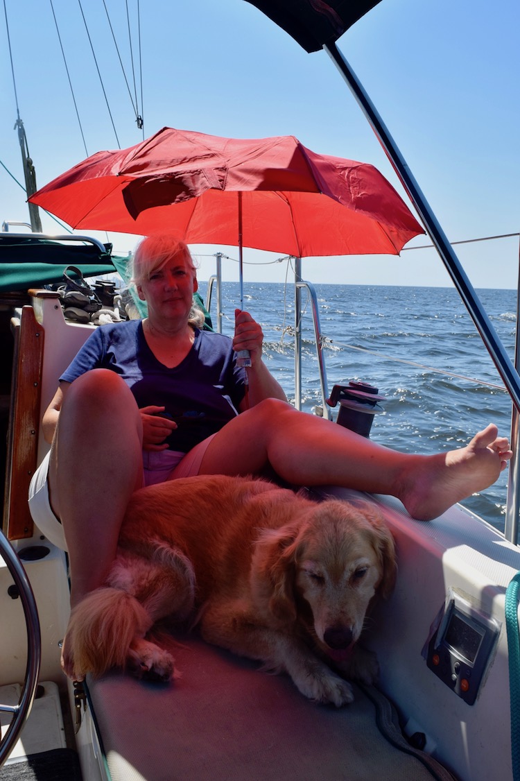 Golden retriever shaded by umbrella in cockpit.