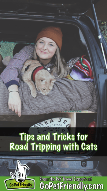 Consejos y trucos para viajar por carretera con gatos | GoPetFriendly.com