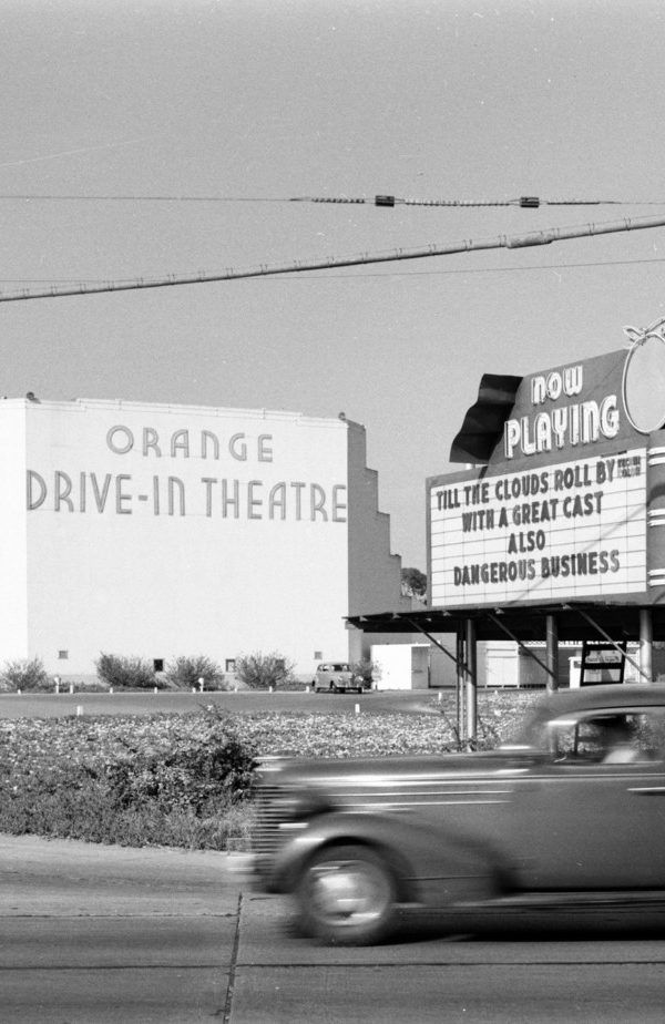 Drive In Theaters Pet Friendly Movie Theaters In The U S And Canada