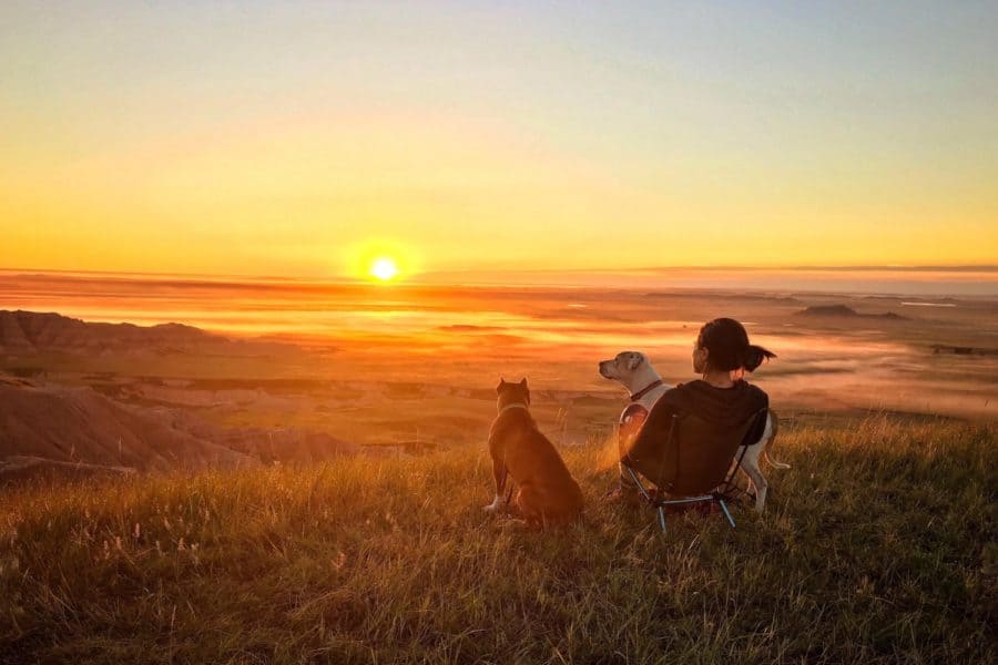Exploring America's National Grasslands With Dogs