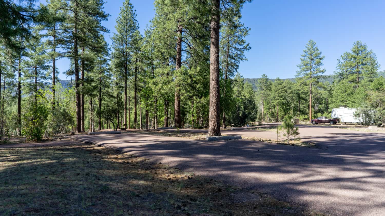 Sharp Creek Campground Review - Tonto National Forest, Arizona | GoPetFriendly.com