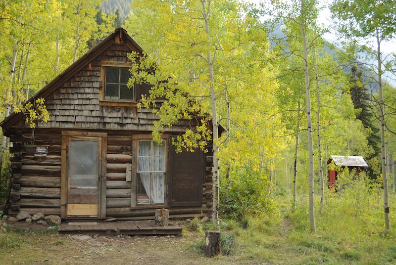 Pet Friendly Camping Cabin In Aspen Forest