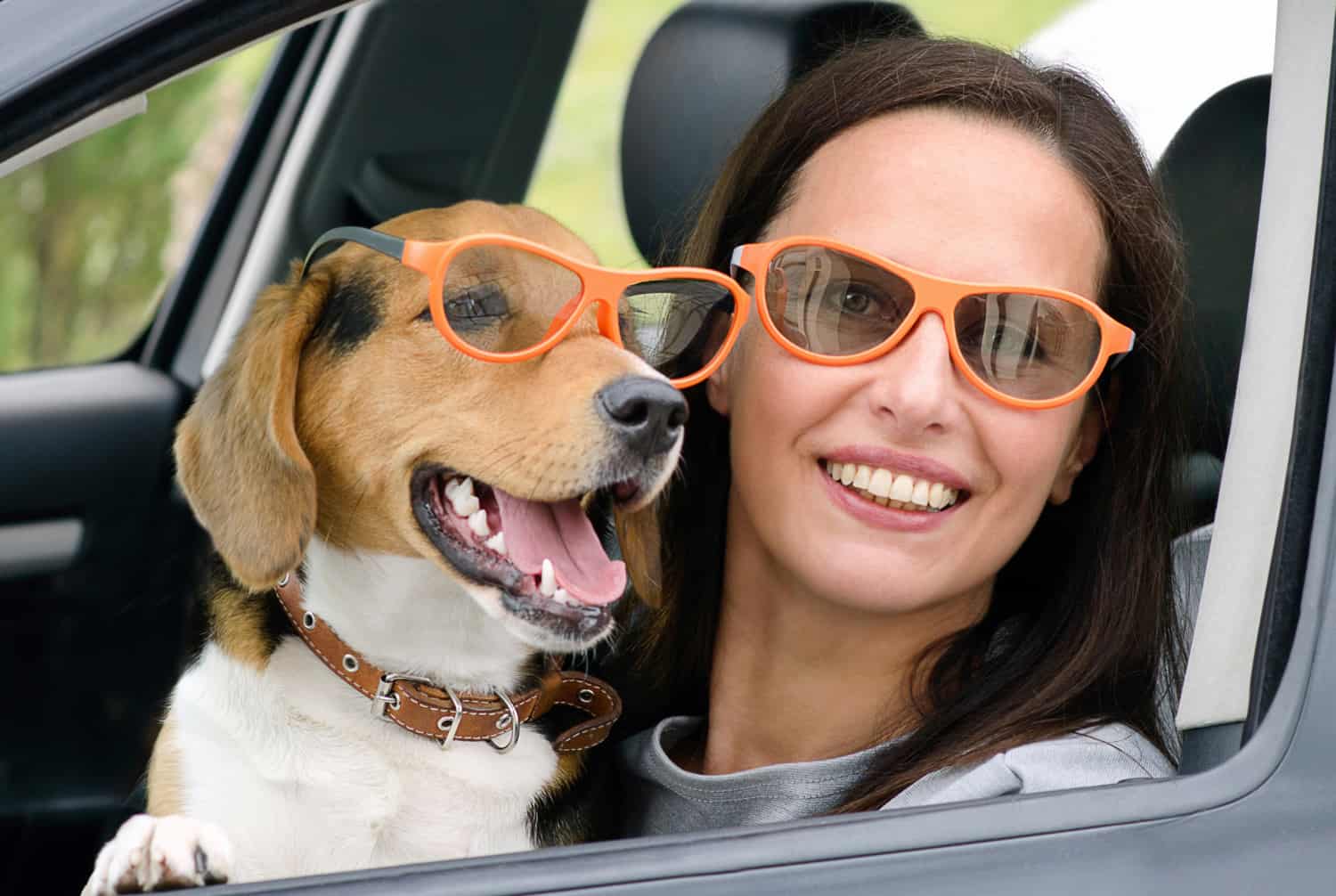 Smiling Woman and beagle dog in car at a pet friendly movie theater wearing matching sunglasses.