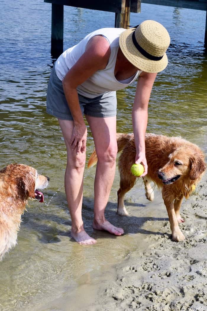 Adult & dog greeting on the beach 700 px