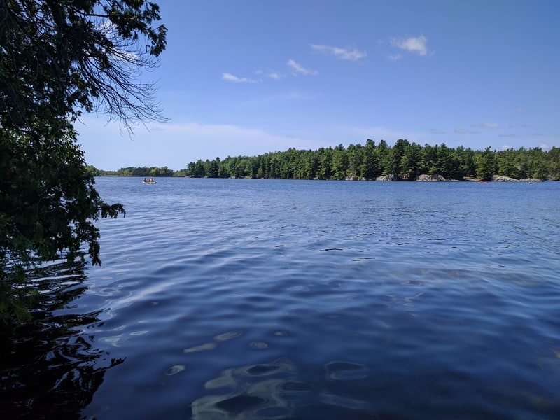 Enjoying Ontario's Thousand Islands Region With Your Dog | GoPetFriendly.com