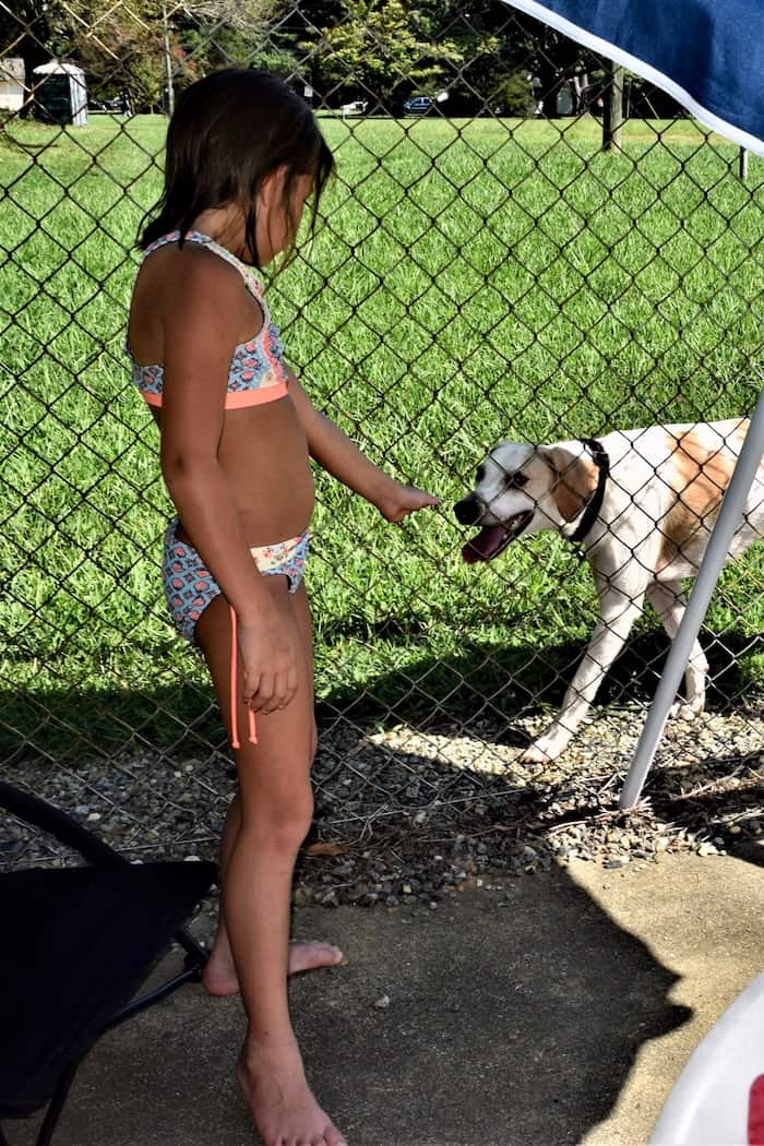 Child greets lost dog at the pool.