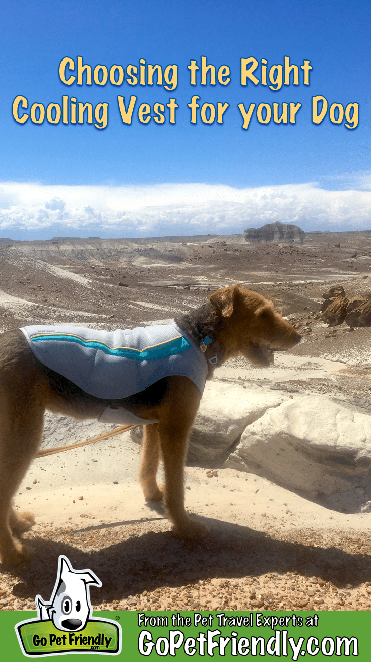 Choosing the Right Cooling Vest for Your Dog | GoPetFriendly.com