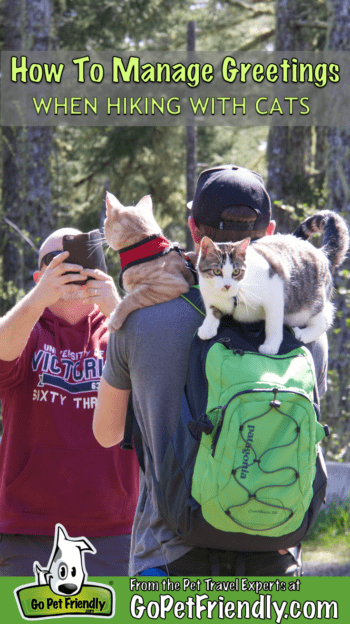 How to Manage Greetings When Hiking with Cats | GoPetFriendly.com