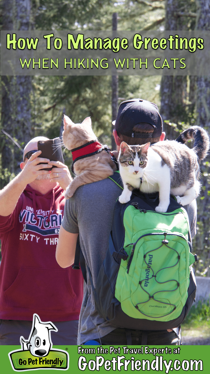 How to Manage Greetings When Hiking with Cats | GoPetFriendly.com