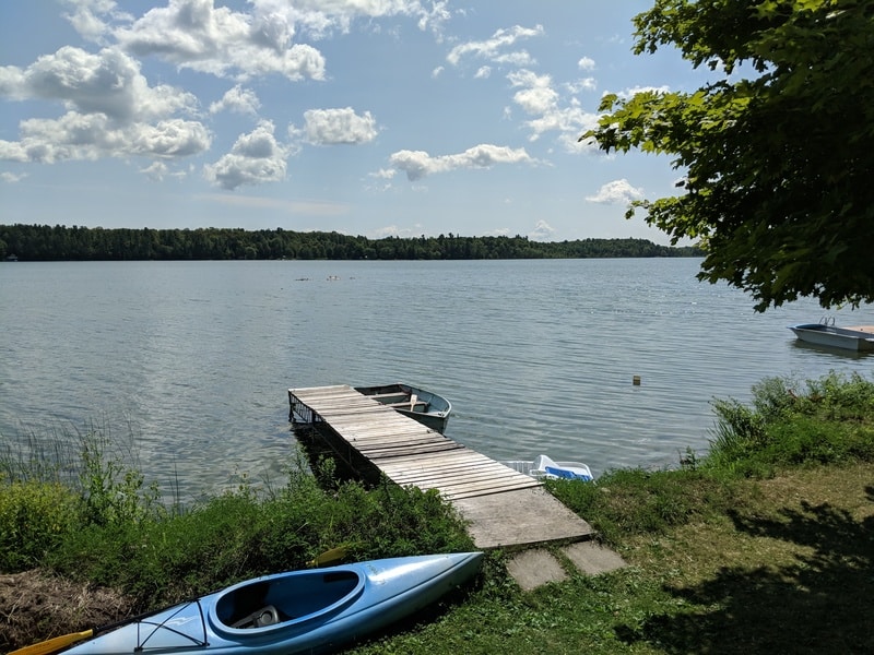 Enjoying The Thousand Islands Region Of Ontario With Your Dog