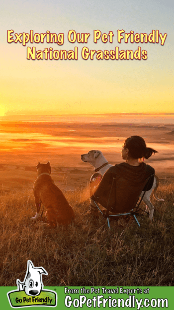 Woman with two dogs overlooking Pawnee National Grassland in Colorado