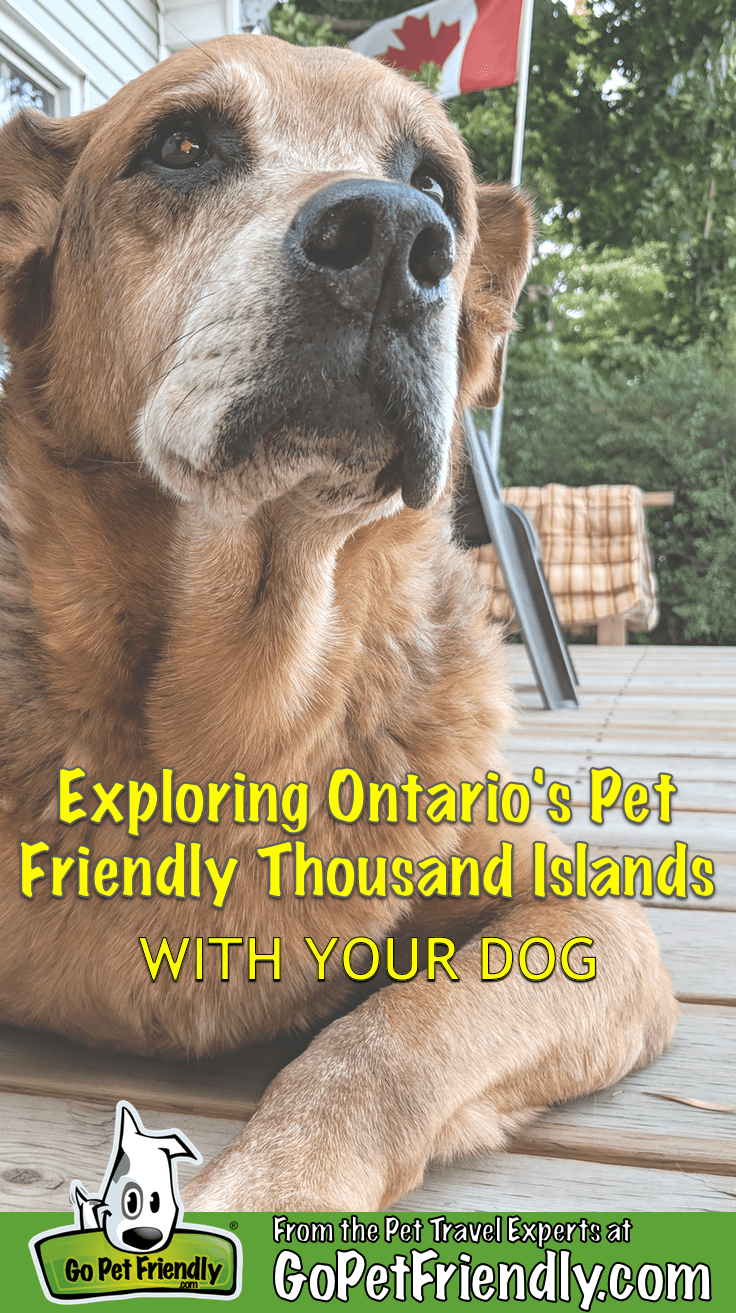 Enjoying Ontario's Thousand Islands Region With Your Dog | GoPetFriendly.com