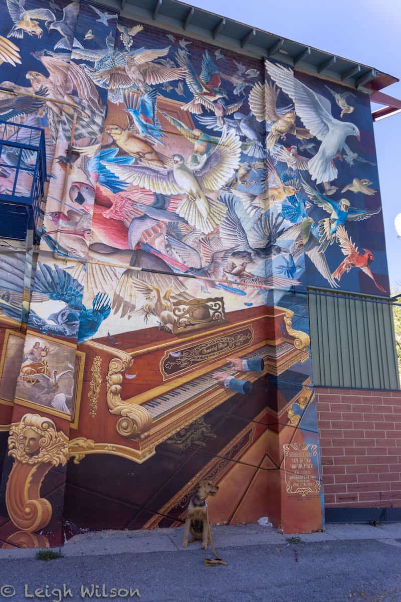 The Sound of Flight mural by Sky Black, in Flagstaff, Arizona