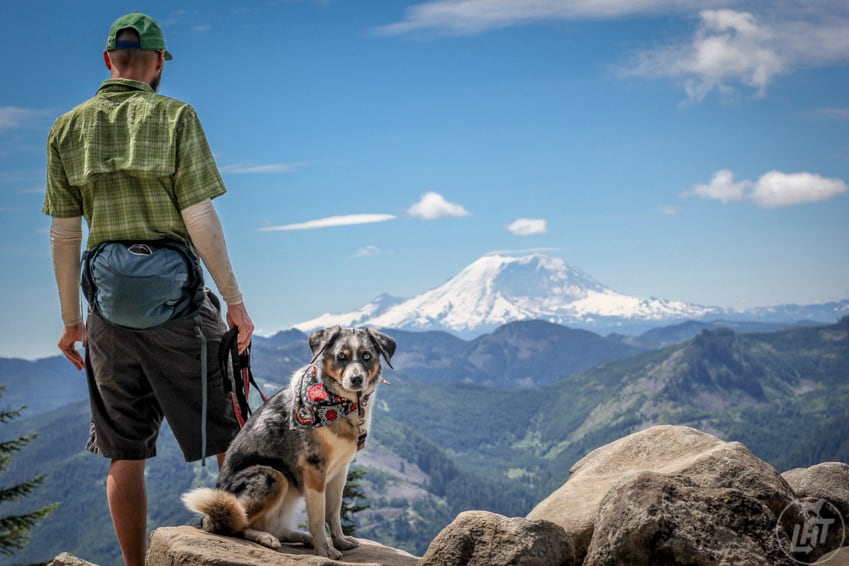 Hiking Near Seattle With Your Dog