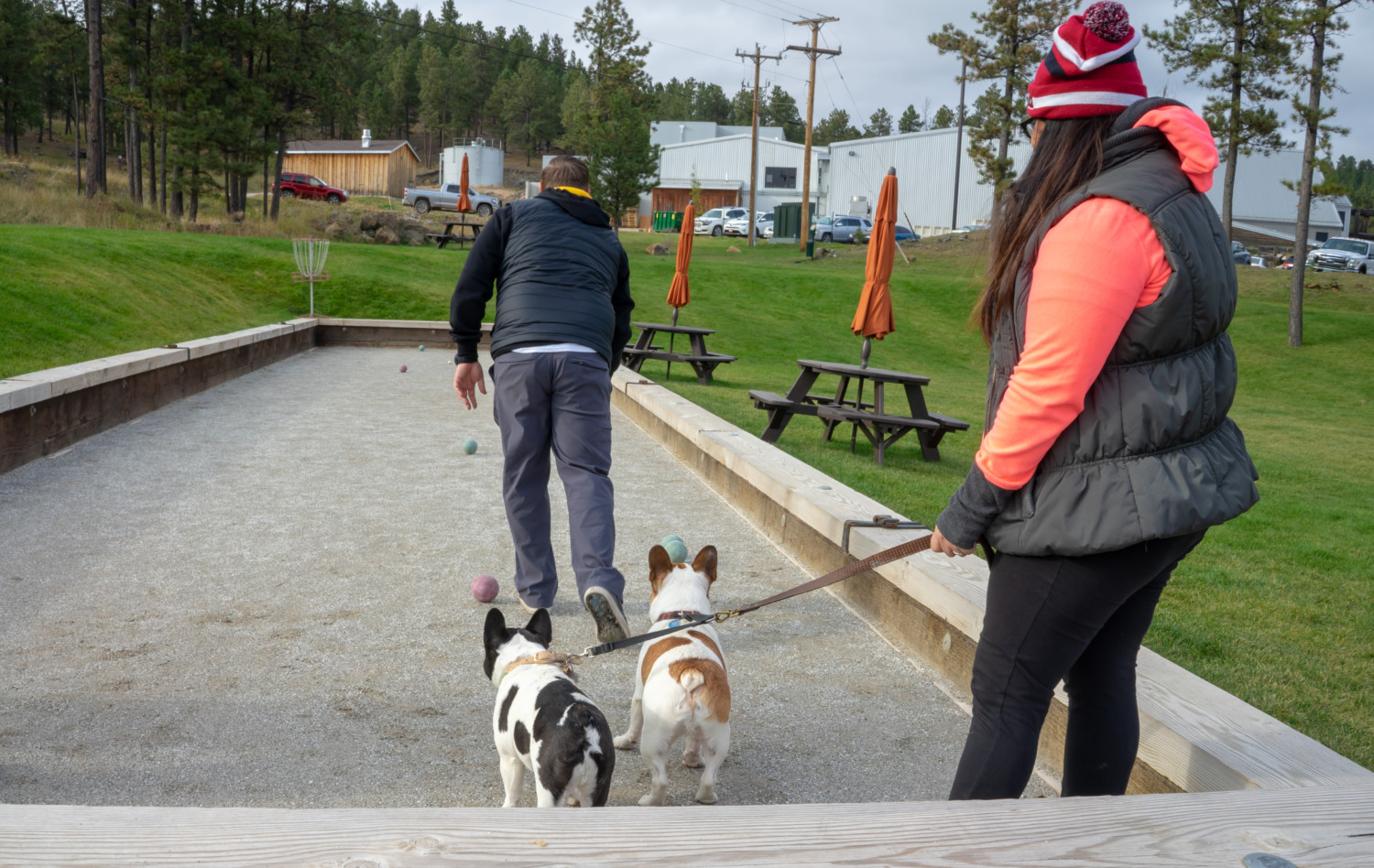 Two french bulldogs watching a man throw a bocce ball at pet-friendly Minor Brewing Company in Hill City, SD