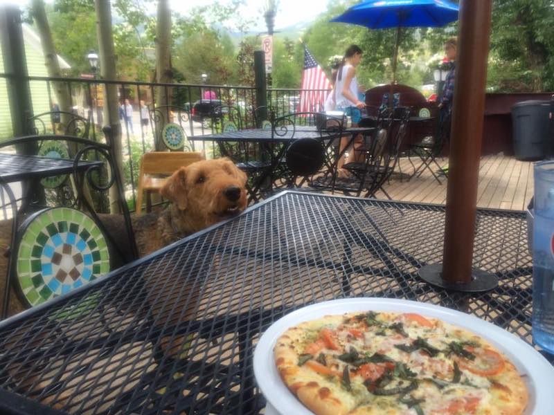 Inside Scoop: Dog Friendly Restaurants in Chicago
