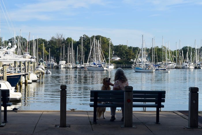 Eastport's pocket parks are a great pet-friendly places to enjoy with your dog. (Woman and dog in silhouette on park bench in front of sailboats.)