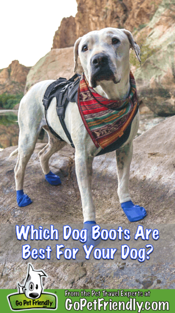 Ruffwear Grip Trex Dog Boots, Dog Booties & Apparel