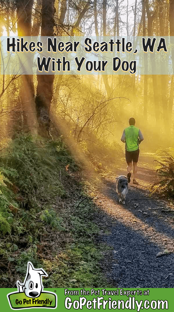 Man and dog jogging on a pet-friendly trail near Seattle, WA at sunrise