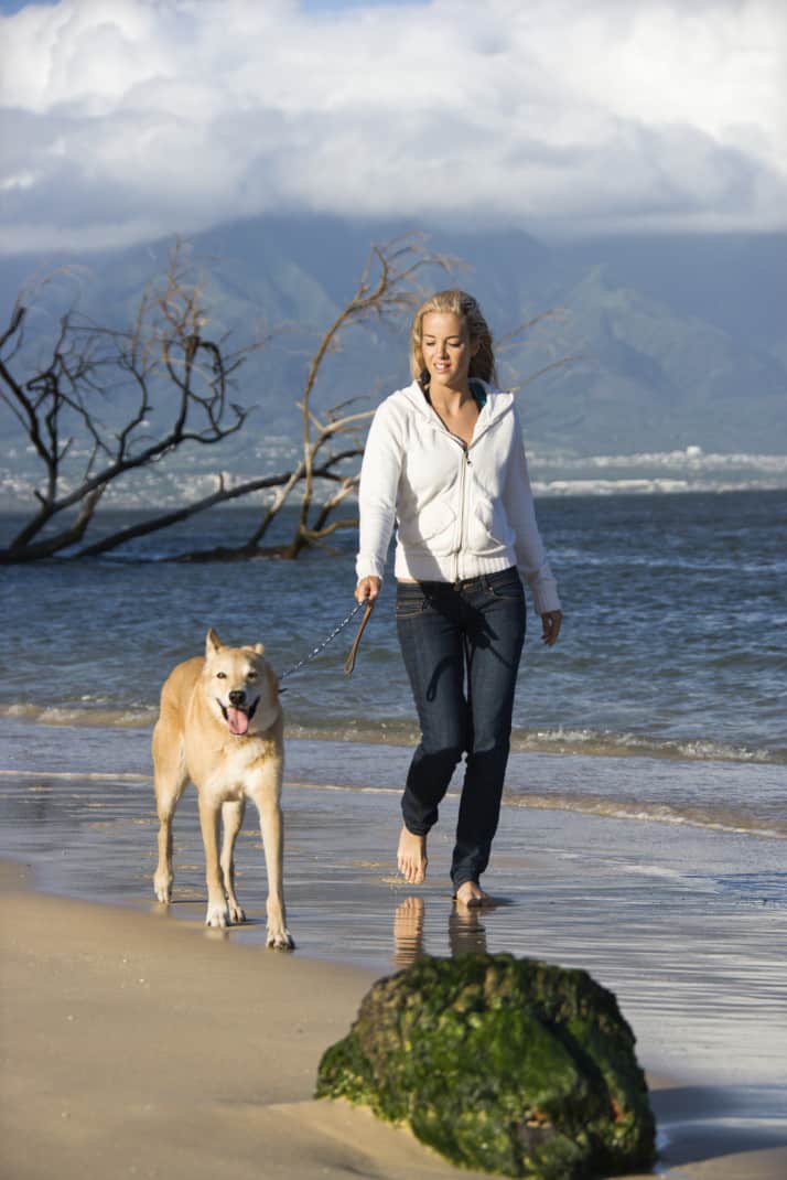 mujer, y, perro, ambulante, en, playa