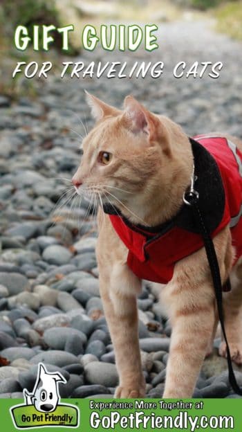 Fish the cat in on a rocky trail wearing his red jacket, which makes a great gift for any traveling cat