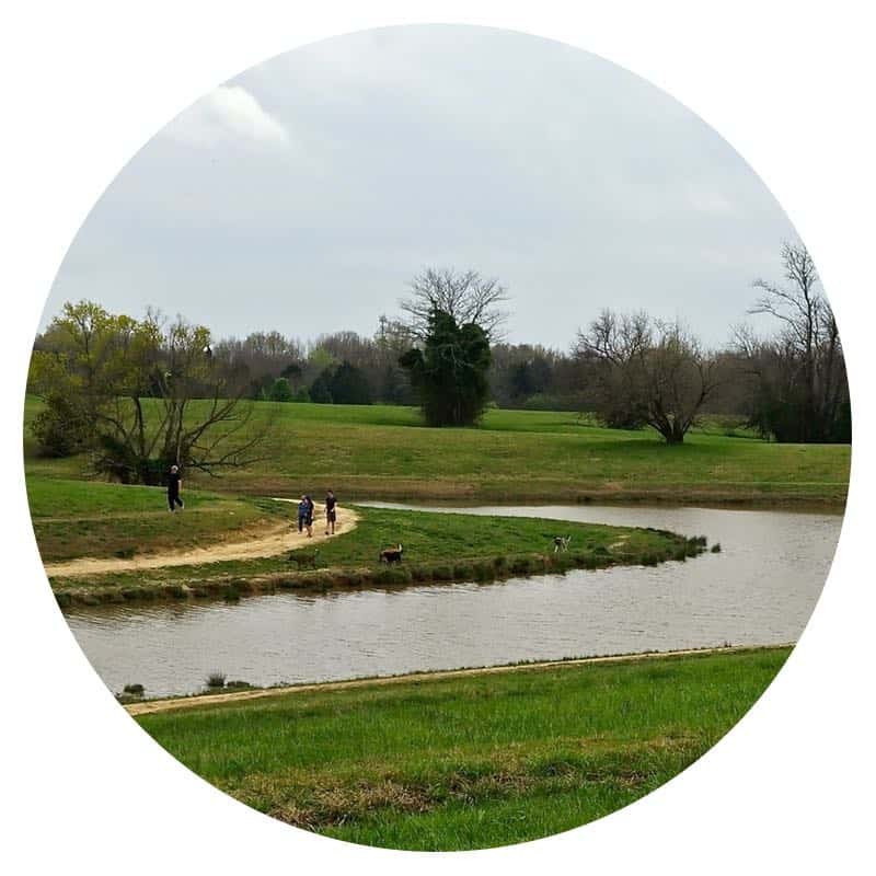 People and dogs walking along the river in the off-leash Outback at Shelby Farms Park, Memphis, TN